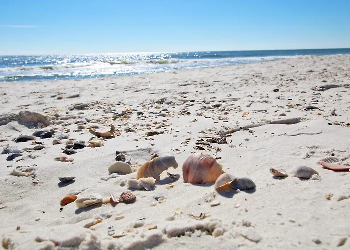 San Carlos 609 By Youngs Suncoast Apartment Gulf Shores